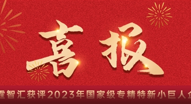 喜报！瑞霆智汇获评2023年度专精特新小巨人企业！